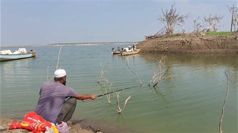 Amazing Fishing In River Best Small Hook Fishing Rohufishes And Big