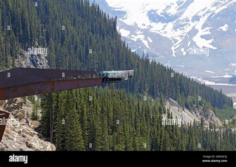 skywalk  sunwapta valley canada stock photo alamy