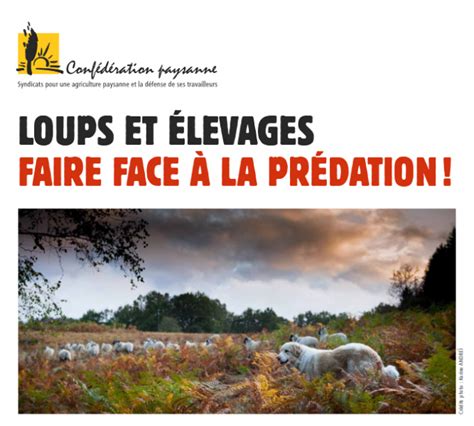 Espèce loup lurgence est de protéger les troupeaux de la prédation