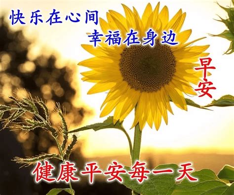 清晨暖心的早安祝福语 朋友圈最喜欢的早安祝福图片带字心情