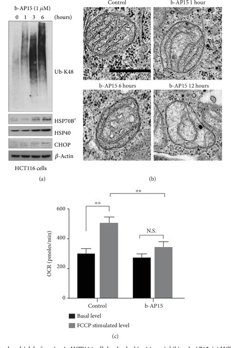 Figure From Oxidative Stress Induced By The Deubiquitinase Inhibitor