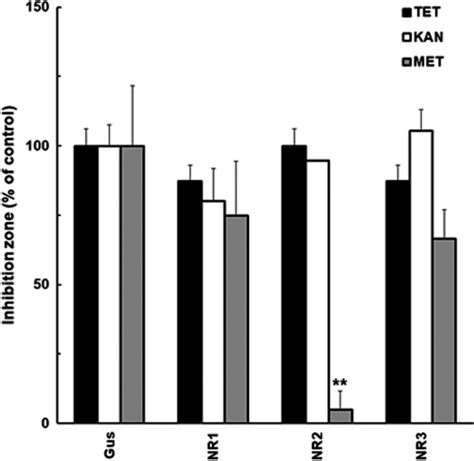 Susceptibility Of Escherichia Coli BL21 DE3 Expressing GusA As A