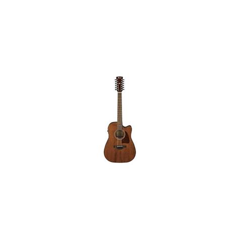 Ibanez AW5412CE OPN 12 String Acoustic Guitar Open Pore Natural