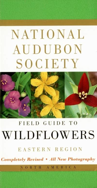 National Audubon Society Field Guide To North American Wildflowers E Eastern Region Revised