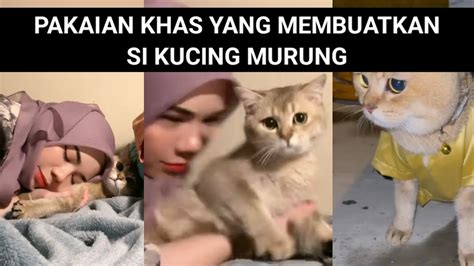 Pakaian Khas Yang Membuatkan Si Kucing Murung Youtube