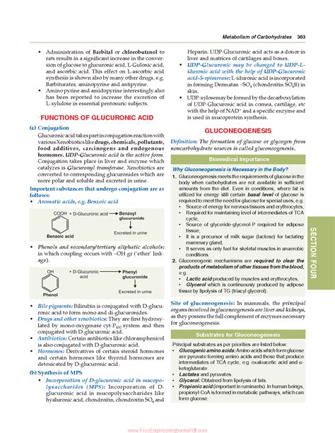 SOLUTION Gluconeogenesis Studypool