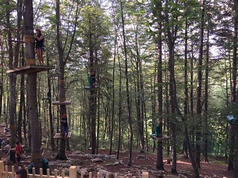 Boscopark Parco Avventura Bosco Chiesanuova AGGIORNATO 2021 Tutto