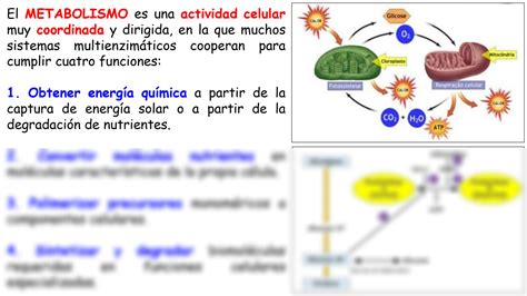 Solution Quimica Biolog A Y Lab Clase Metabolismo Studypool