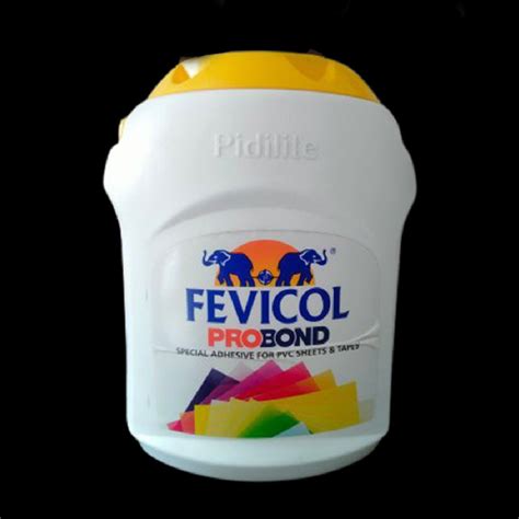 Kg Fevicol Probond Synthetic Resin Adhesive Jar At Rs Jar In Patna