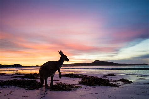 Reiseführer Für Esperance Westaustralien Tourism Australia