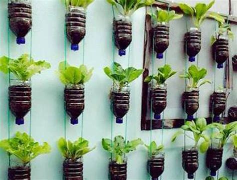 Cara Membuat Vertical Garden Dari Botol Bekas Di Rumah Anda