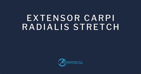 Extensor Carpi Radialis Stretch: How To Do It Right Way 2025