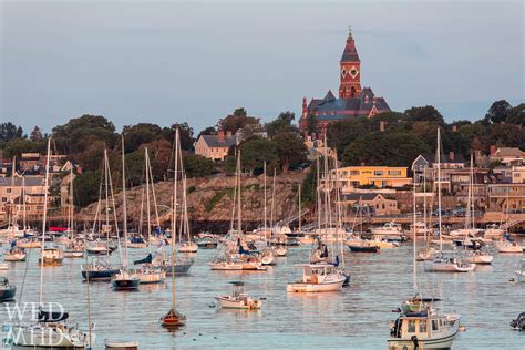 No vacancies in Marblehead Harbor as each mooring is taken up by a boat ...