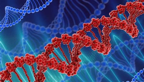 Distrofia Muscolare Cause Sintomi E Cura Nanopress