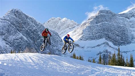 unique winter activities  alberta canadas