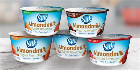 The 10 Best Dairy Free Yogurt Brands To Buy Right Now