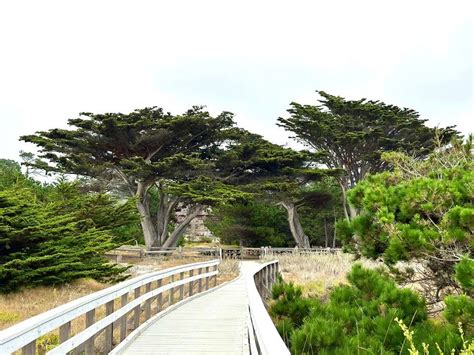 The Abundant Living Retreat Asilomar Conference Grounds Pacific Grove