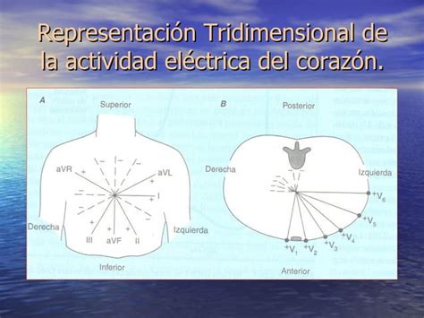 Fisiologia Electrocardiografia Normal Ecg Ppt