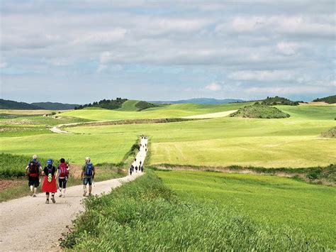 Camino de Santiago Pilgrims Near Los Arcos Photograph by Helen Van ...