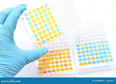 Enzyme Linked Immunosorbent Assay Or Elisa Plate Stock Photo Image Of