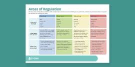 Areas Of Regulation Emotions Check In Teacher Made