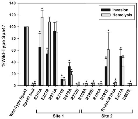 Effect Of Engineered Spa Salt Bridge Mutations On Shigella Virulence