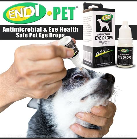 Dog Cat Pink Eye Drops Infection Conjunctivitis Dry Itch Red Irritation ...