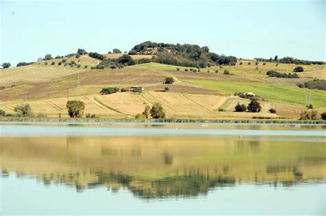 Lago di Chiusi (Italy): Top Tips Before You Go (with Photos) - TripAdvisor