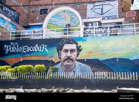 Árbol genealógico Ciro Tacto el barrio pablo escobar en medellin