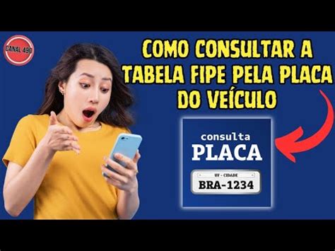 Como Fazer Consulta De Autom Vel Pela Placa Dicas E Informa Es Teis