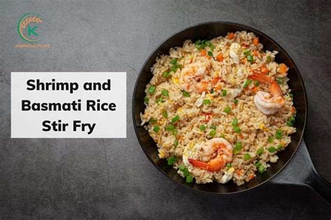 Top 5 Mouth Watering Basmati Rice Recipes K Agriculture