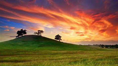 🔥 [40+] California Sunset Wallpapers | WallpaperSafari