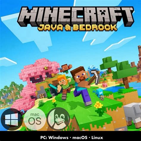 電腦版 Pc Mac Java版 Xbox 麥塊 我的世界 當個創世神 Minecraft 麥塊 基岩版 蝦皮購物