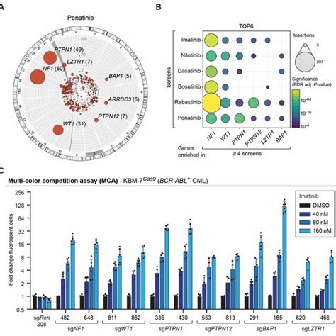 Haploid Genetic Screens Identify Gene Knockouts Promoting BCR ABL