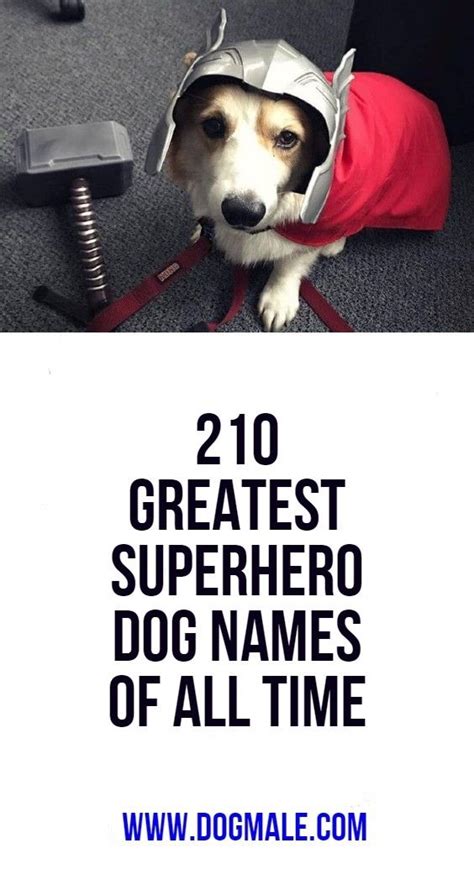 210 Greatest Superhero Dog Names Of All Time Dog Names Cute Names