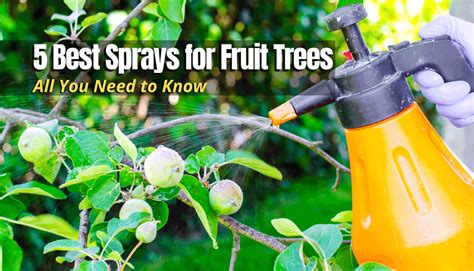 5 Best Sprays For Fruit Trees In 2025 The Backyard Pros