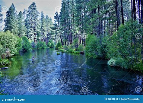 Fly Fishing The Metolius Stock Image Image Of Nears 98831841