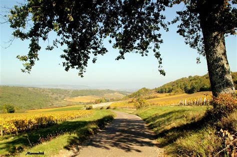 Visite Du Ch Teau De Sully En Sa Ne Et Loire Manouedith Et Ses Passions