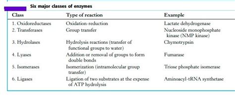 CLASSIFICATION OF ENZYMES AND ENZYME KINETIC | ZOOLOGYTALKS | 2025