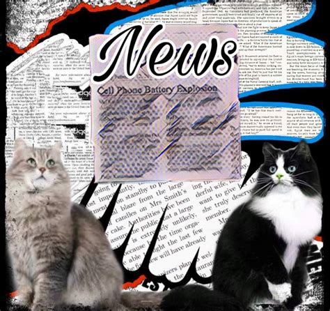 News Cats Issue 1 Cats Amino