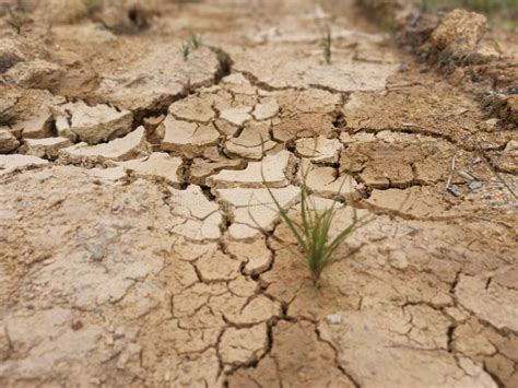 Dry Crack Earth At The Agriculture Land Due To Drought Stock Photo