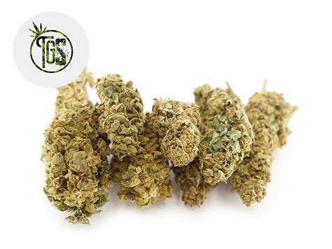 Fedtonic Cbd The Green Store Cannanews Fr