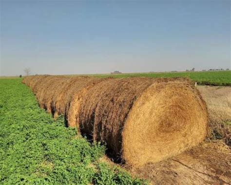 Rollos De Alfalfa Primera Calidad Agroads