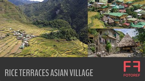 Artstation 503 Photos Of Rice Terraces Asian Village Resources