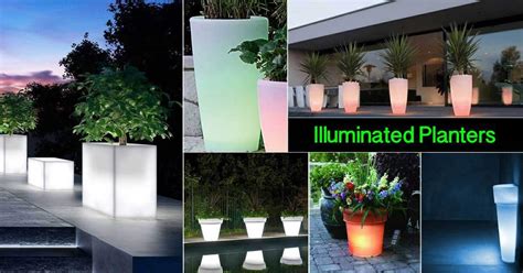 17 Illuminated Planters How To Make A Glowing Romantic Backyard