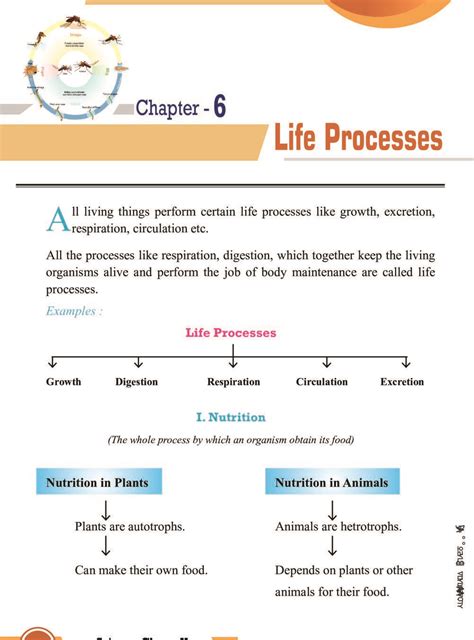 Life Processes Class Questions And Answers