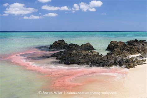 Beaches of the Ryukyu Islands | Okinawa Nature Photography