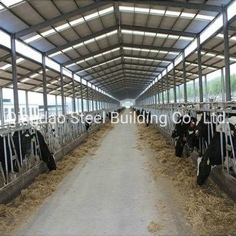 Light Steel Structure Cow House Prefab Steel Frame Cattle Shed Sheep