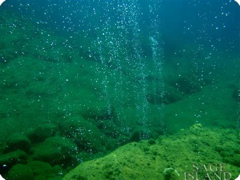 champagne reef Dominica | Underwater world, Natural landmarks, World