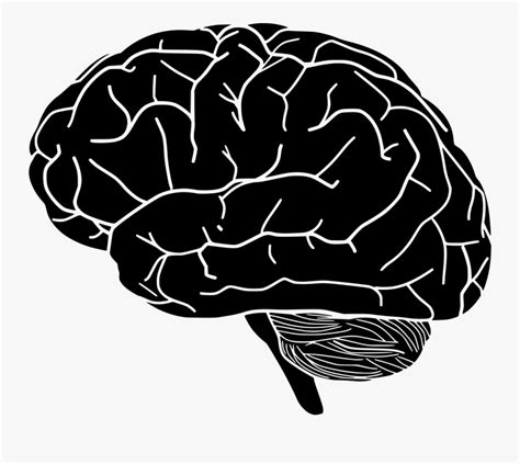 Brain Silhouette Clip Art